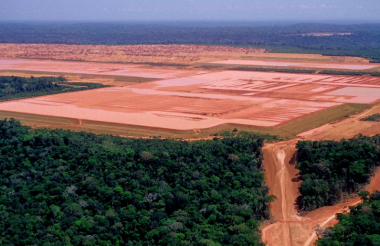 Terras brasileiras em mãos estrangeiras superam o registrado pelo Incra, mostra estudo