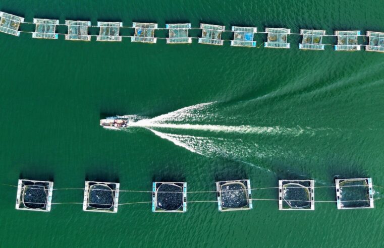 Piscicultor de Glória-BA conquista segundo lugar em premiação nacional de fotografia da aquicultura
